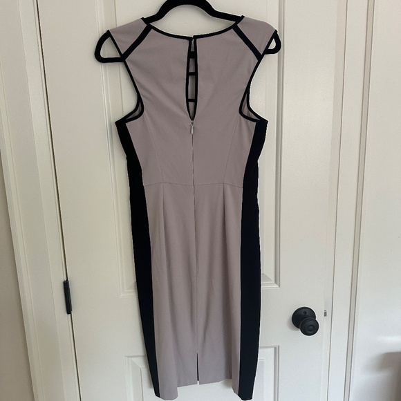BCBG Kelsee Dress (Size 4) - Picture 4 of 8